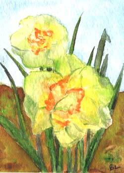 "Daffodils" by Beverly Larson, Oregon WI - Watercolor